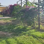Atico Carrizal
