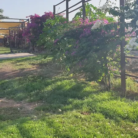 Atico Carrizal